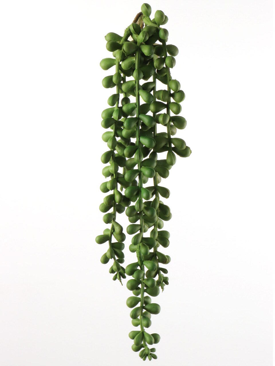 13" Artificial Hanging Senecio Plants, Box of 24 - Lifelike Greenery, Indoor/Outdoor Use, Perfect for Home, Office & Event Décor - Year-Round Accent, Floral Home by Artificial Flowers